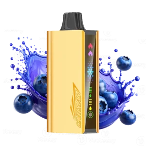 JNR Cruiser Blueberry Blast